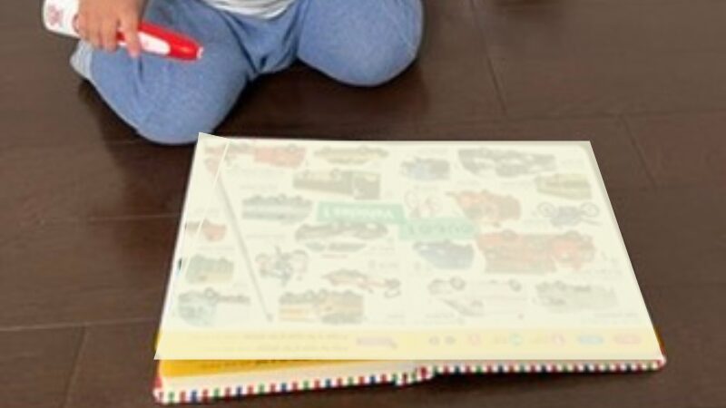 子どもがはじめてずかん1000で遊んでいる様子